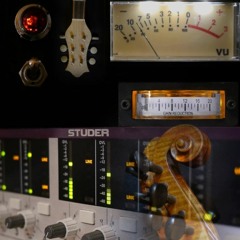 Roman Kedi - electric edition 2022 - David Brossier