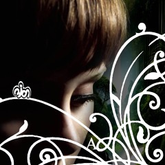 2024 +2008 Chasing Pav3m3nts