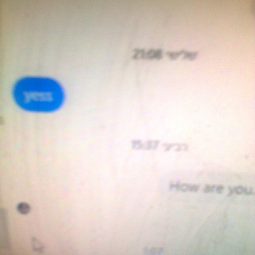 טי אנ אס שדה של חרציות 1997