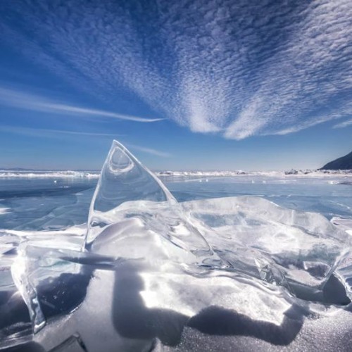 เบลเยี่ยม tik tok background (FREE DOWNLOAD)