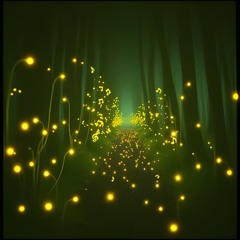 CANZONI DEL BOSCO - LE LUCCIOLE CANTANO  - RELEASE - Achernar