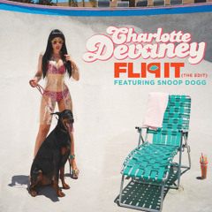 Flip It (The Edit) (Radio Edit) [feat. Snoop Dogg]