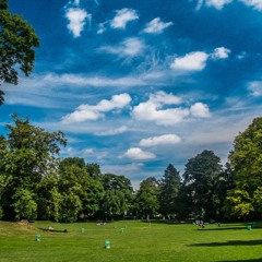 Sunset Picnic Sessions: Live recordings