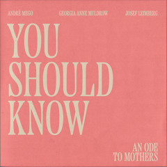 You Should Know (feat. Georgia Anne Muldrow & Josef Leimberg)