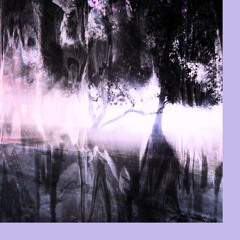 paraka (prod. @offayl)