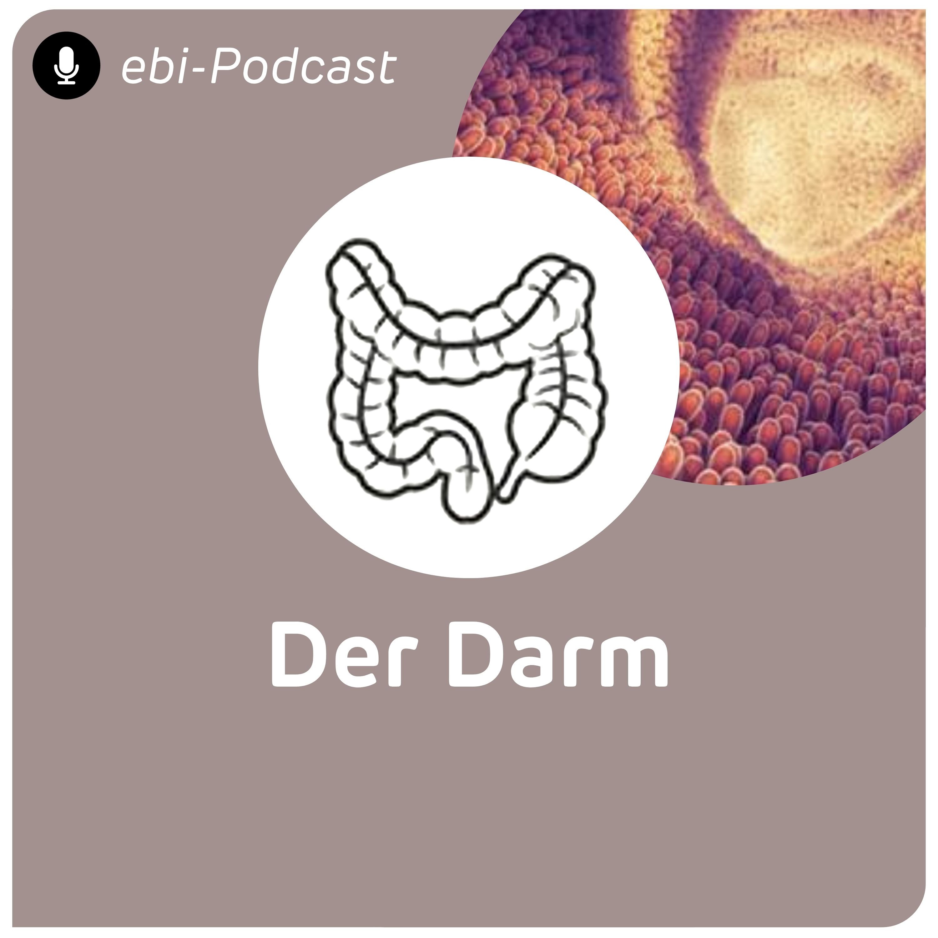 ebi-Podcast