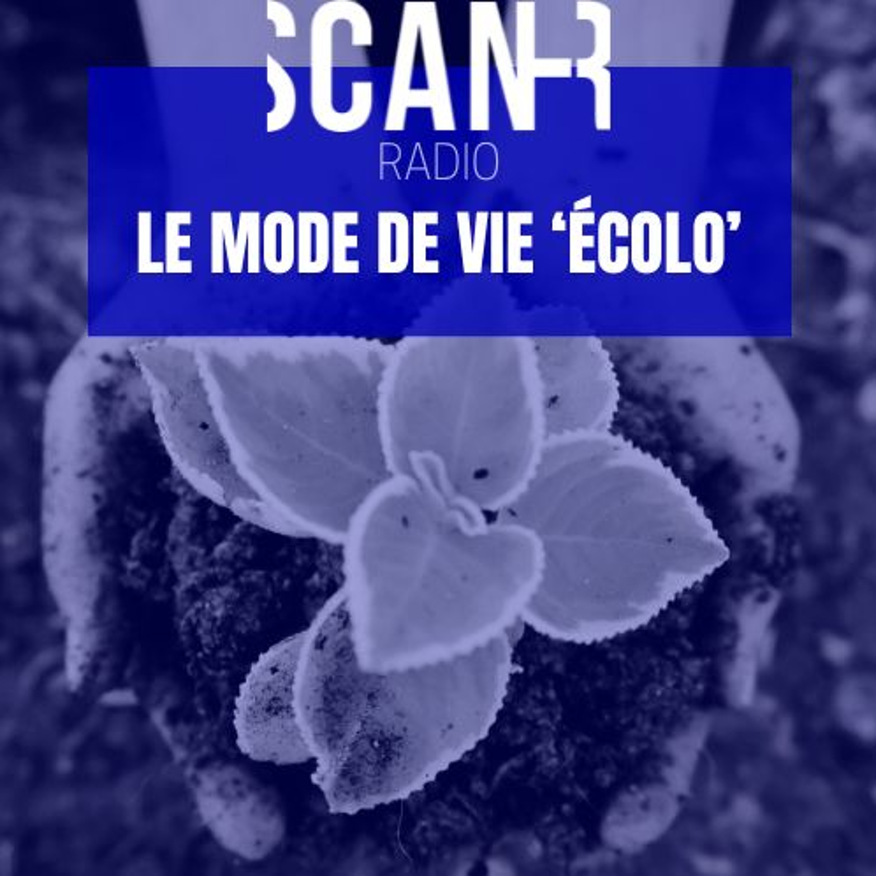 Scan-r