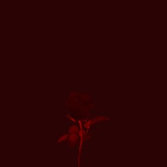 Red Rose