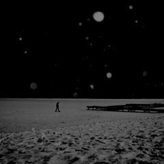 canis_lupis - A Cold Christmas (prod. Micco)