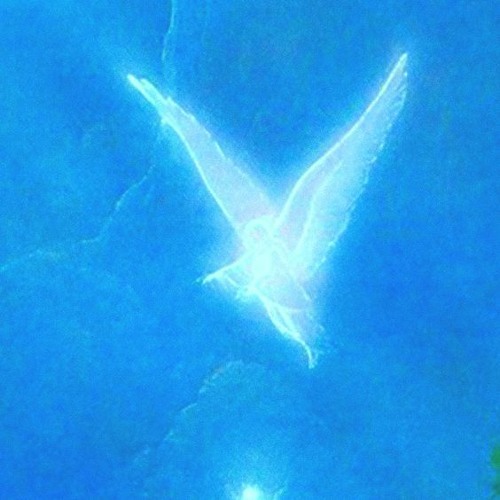 digital dystopia [snowlight nxc]