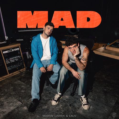 Martin Garrix & Lauv - MAD (jeonghyeon Remix)