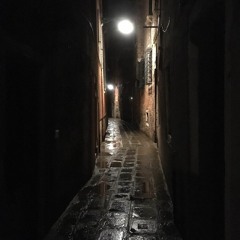 Night Lights