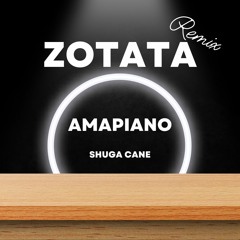 Zatata Remix Shuga