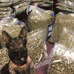 quarter poundz prod lsd and orihime