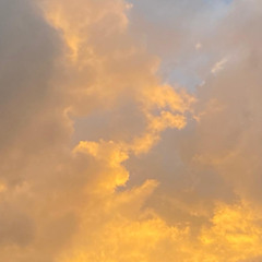 alguma coisa sobre voce