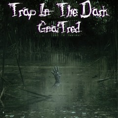 Trap In The Dark