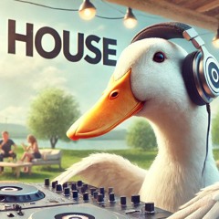 Groovy House Frequencies - Jasper Zijlstra