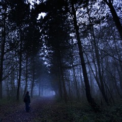 Lugubre • [Mentalcore]