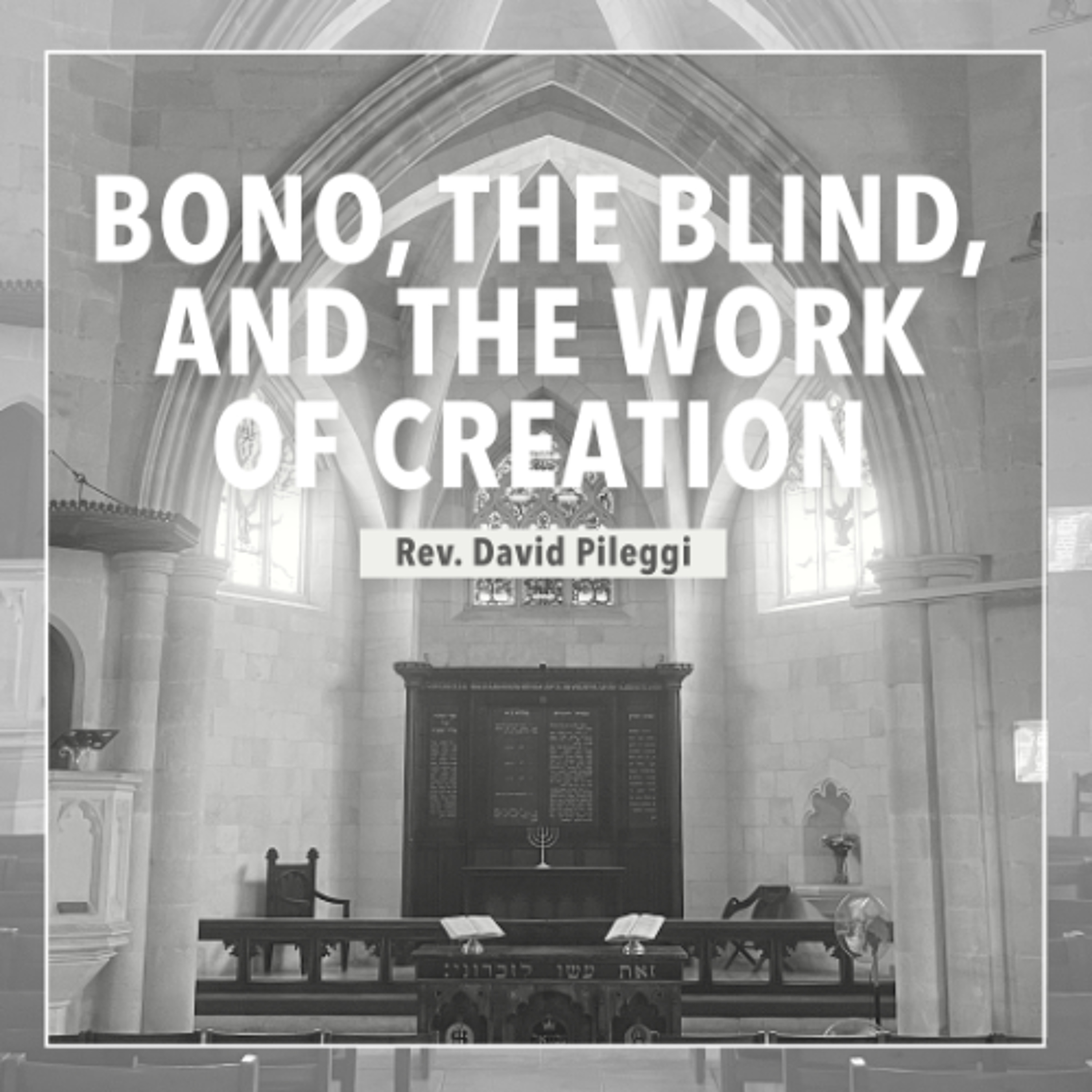 Bono, The Blind, and the Work of Creation - Rev. David Pileggi episode artwork