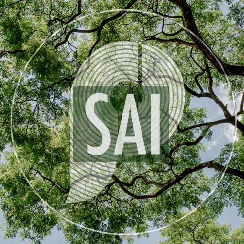 Session 20: Sai