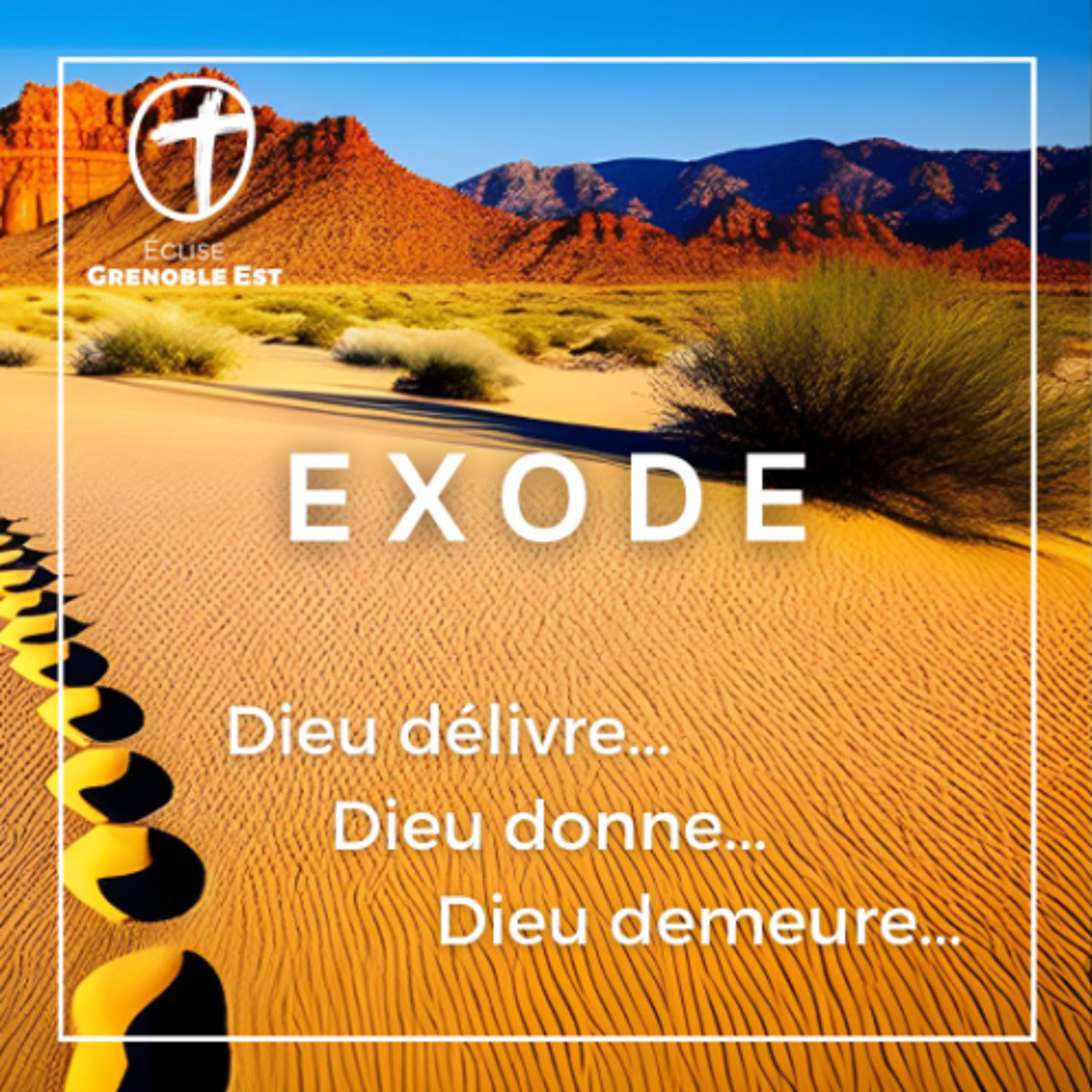 13. Qui peut se présenter devant Dieu [Exode 28-29]