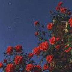 LetItBe(Prod.Celsito)