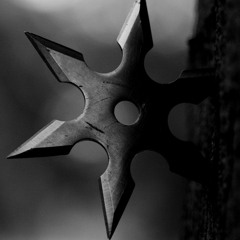 THE TOOL