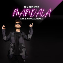 Fly Project - Mandala (AYA Remix)