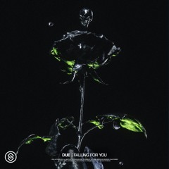DUE - Falling For You