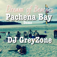 Pachena Bay Demo -Dream of Beaches