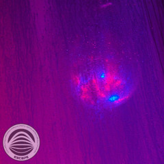 Cosmo - One More Dance Jules 2025