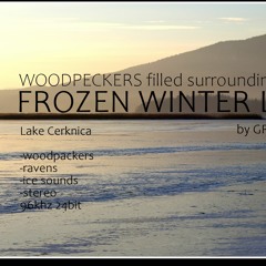 Winter Frozen Lake - Woodpackers filled sorrounding mix MP3