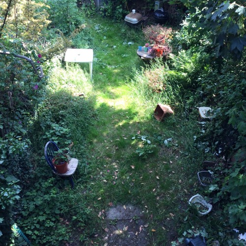 My Garden