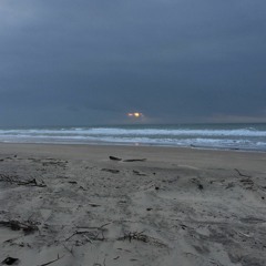 Face à la mer (d'après Les Négresses Vertes)
