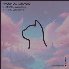 PREMIERE: Facundo Ignacio ─ Elliptical Movements (Original Mix) [PURRFECTION]