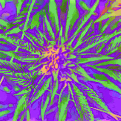 Le Cannabis [Acidcore]