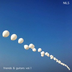 NILS - FRIENDS & GUITARS - VOL1 (2012)