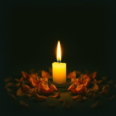 Light Will Find Me