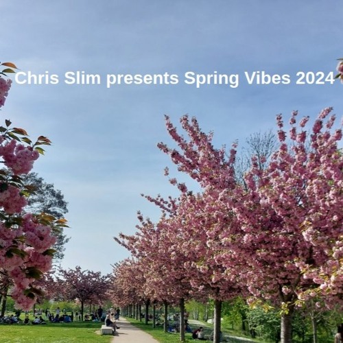 Spring Vibes 2024