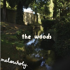 The Woods (demo)
