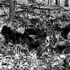 Lies In Soil (Storybook)