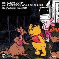 TRIPALIUM CORP avec ANDERSON 1000 & DJ PLAISIR - 27 Juin 2024