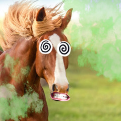 Free Download HIGH HORSE RareBreed Remix Master
