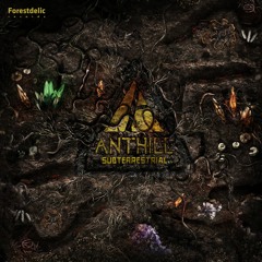 & Anthill  - Architect - Forestdelic Records