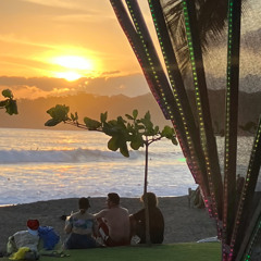 Bring Me Back to Paradise