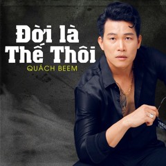 Đời Chỉ Là Thế Thôi - Quách Beem - Tydat Remix