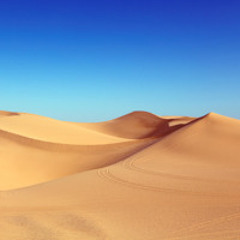 March 2025 - In the Sky and in the Sand