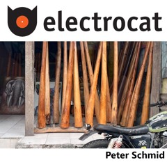 Peter Schmid @ Electrocat - Tilos Radio 04.11.2024