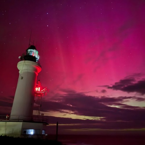 Backofthebattlebusbumpin