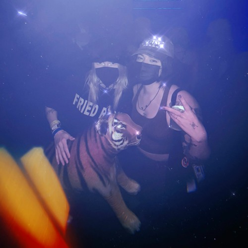 Strapt: DJ Caro, nextdimensional
